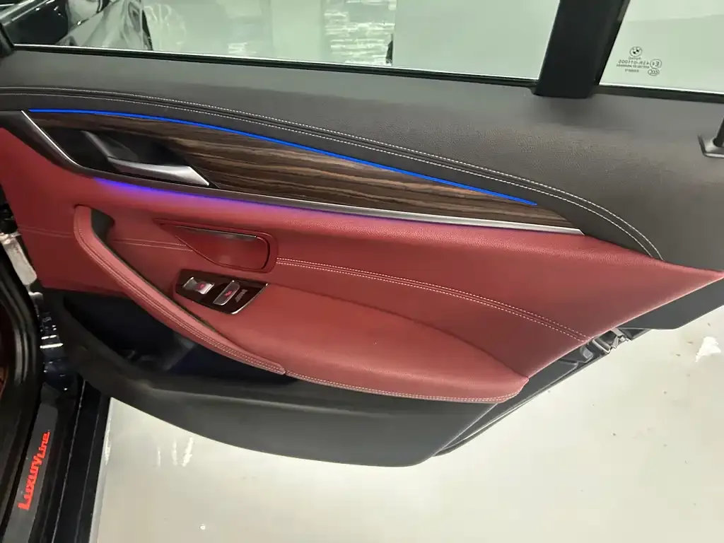 BMW 5 Series 2021 из CN, фото 7