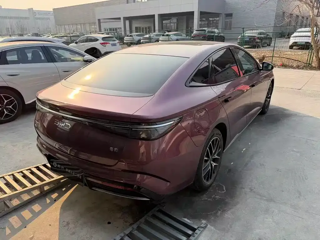 BYD Seal 07 DM-i 2025 из CN, фото 6