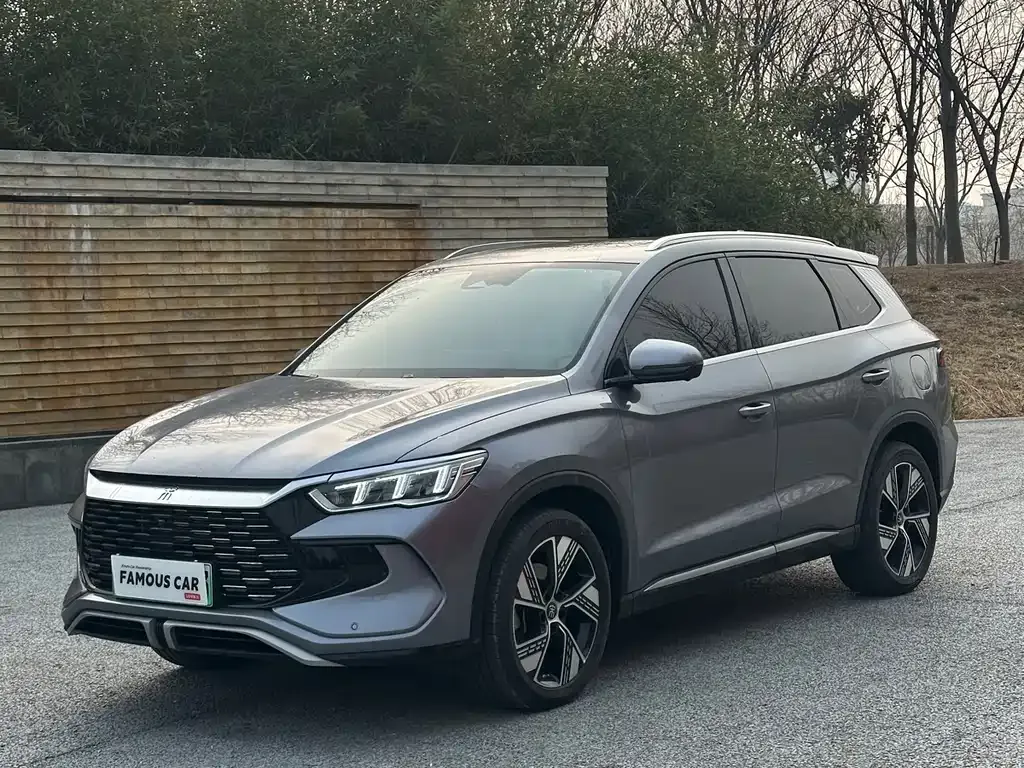 BYD Pro New Energy — фото 1