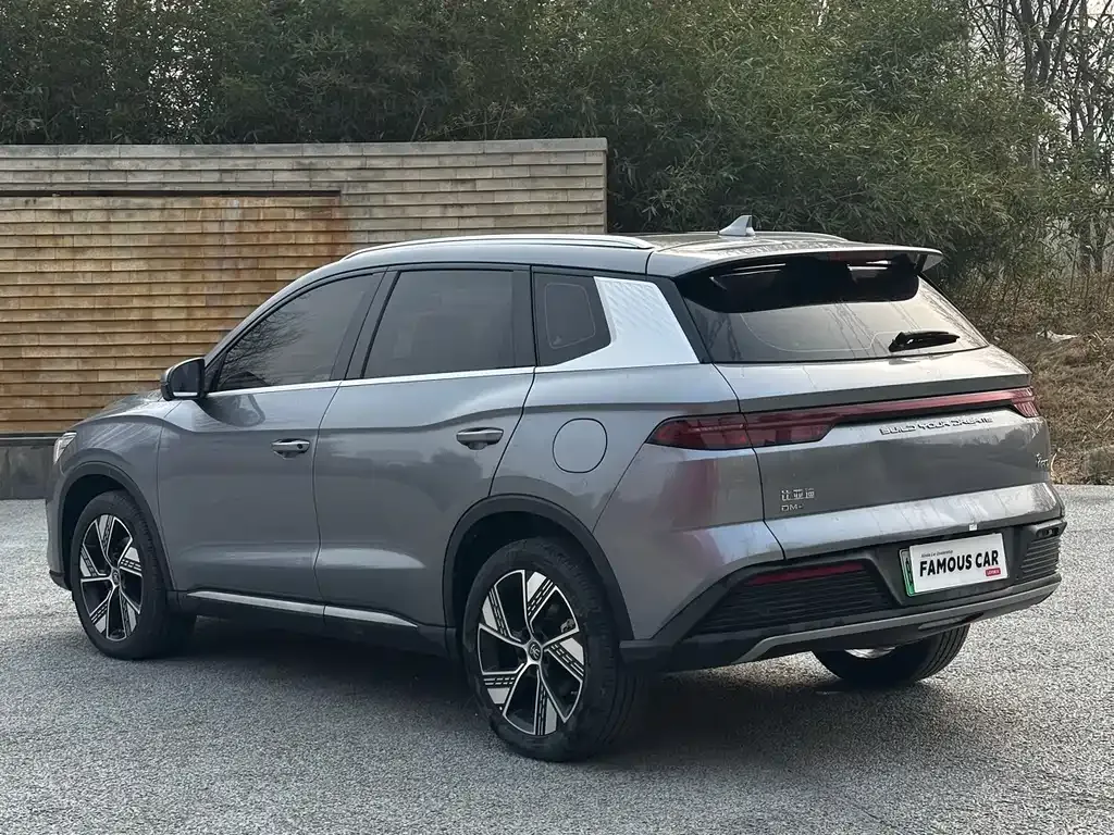 BYD Pro New Energy — фото 10
