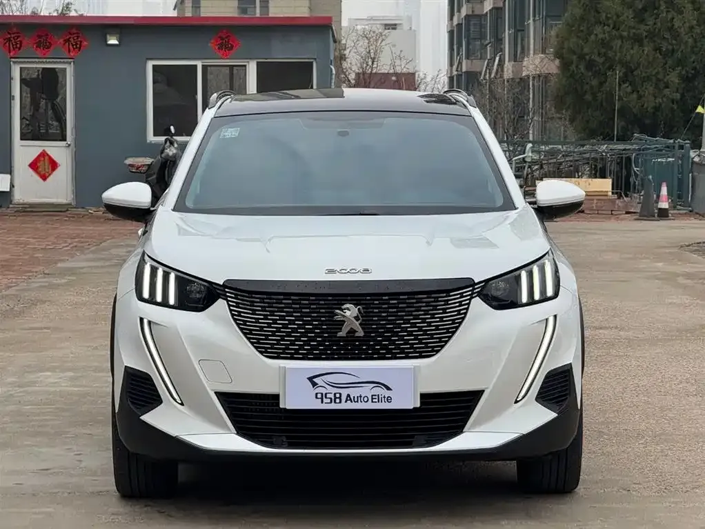Peugeot 2008 2023 из CN, фото 7