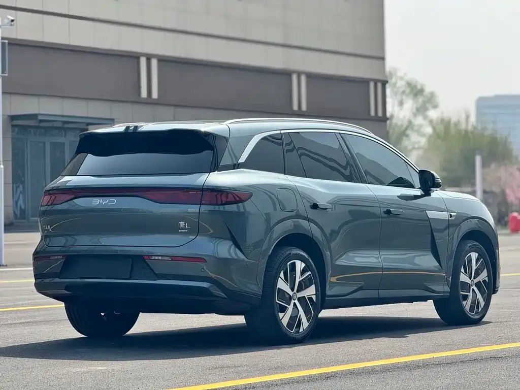 BYD Tang L — фото 3
