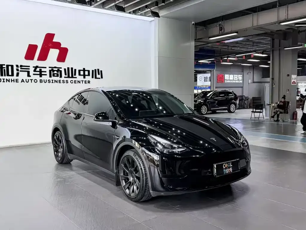 Tesla Model Y — фото 9