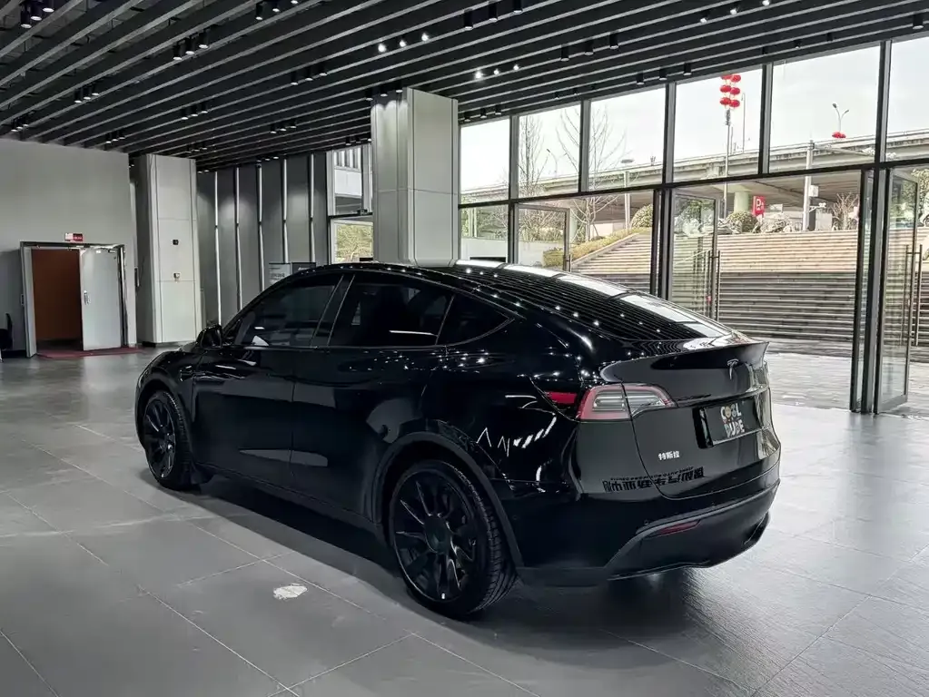 Tesla Model Y — фото 3