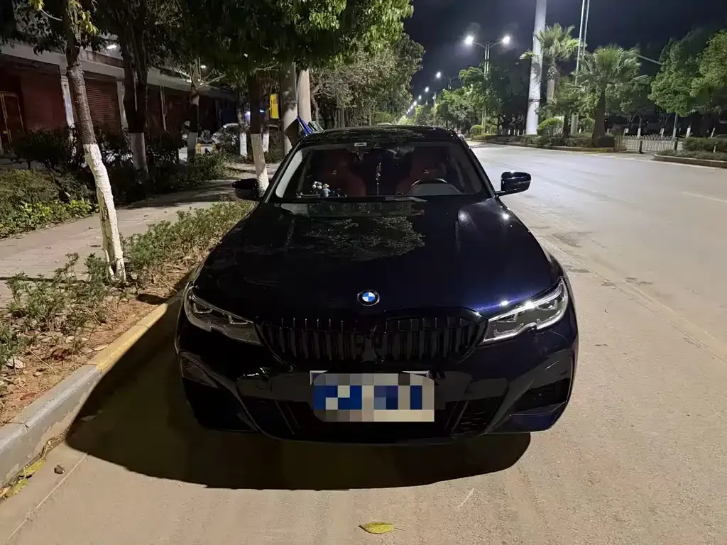 BMW 3 Series 2022 из CN, фото 7