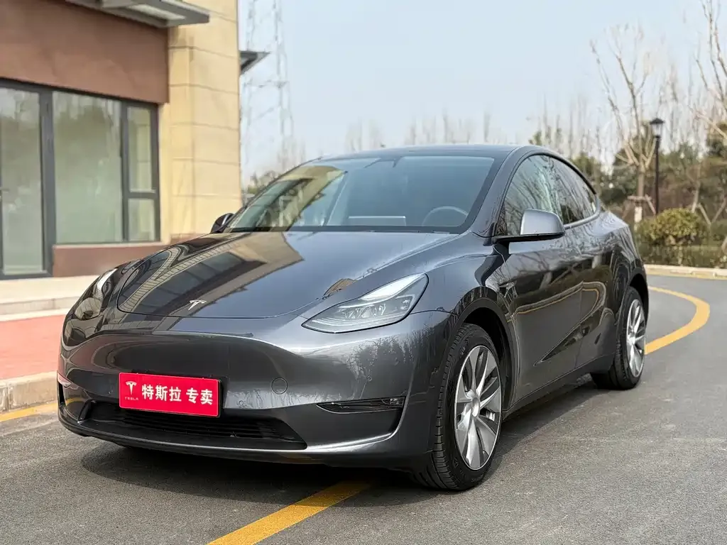 Tesla Model Y — фото 1