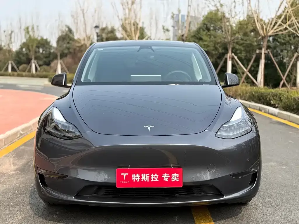 Tesla Model Y — фото 7