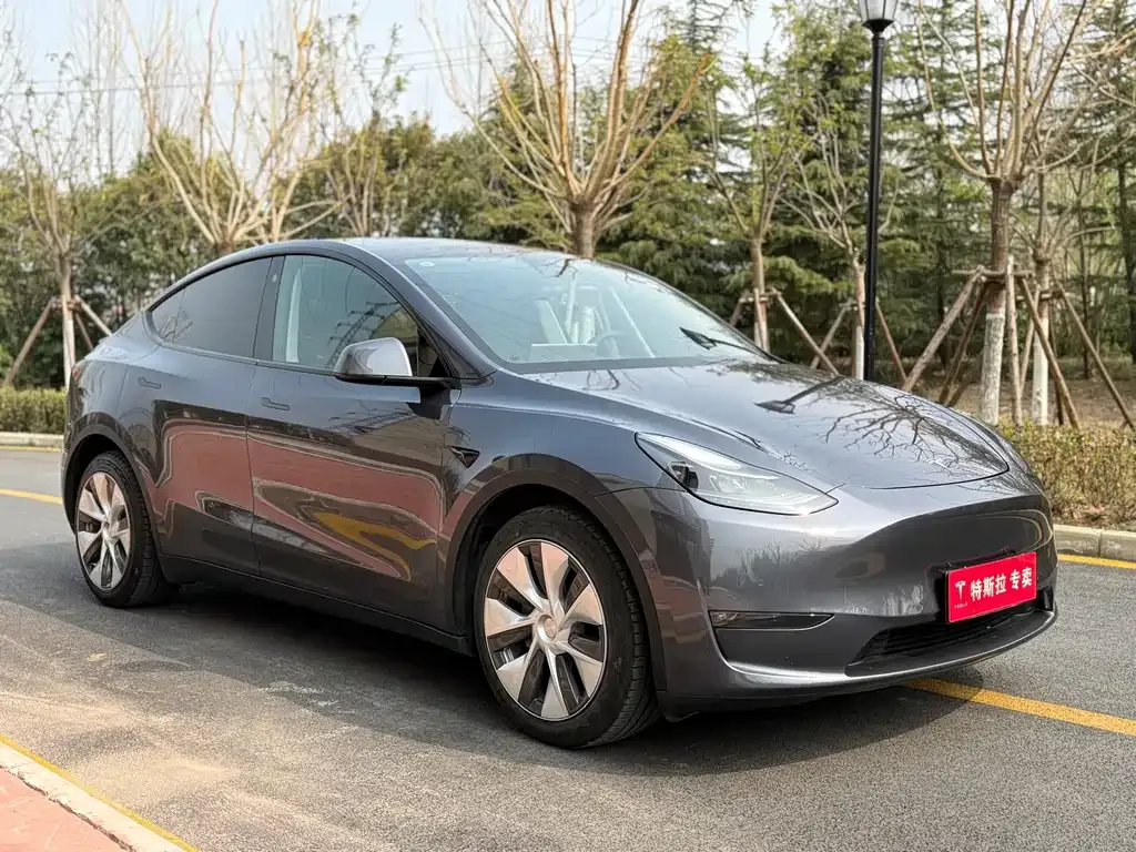 Tesla Model Y — фото 4