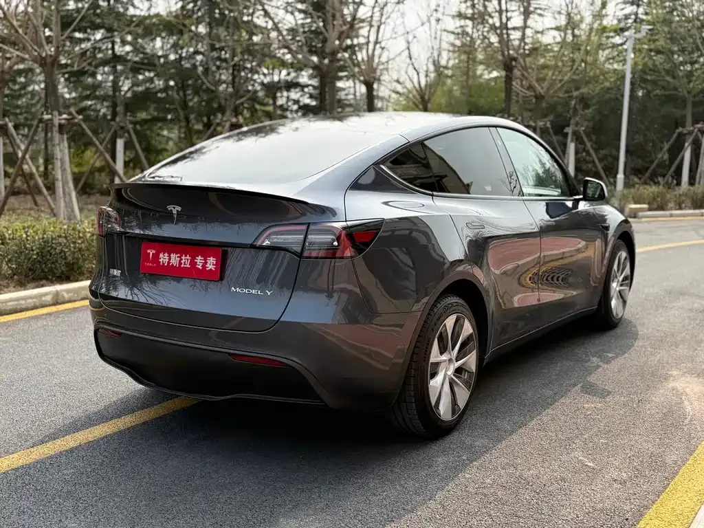 Tesla Model Y — фото 9