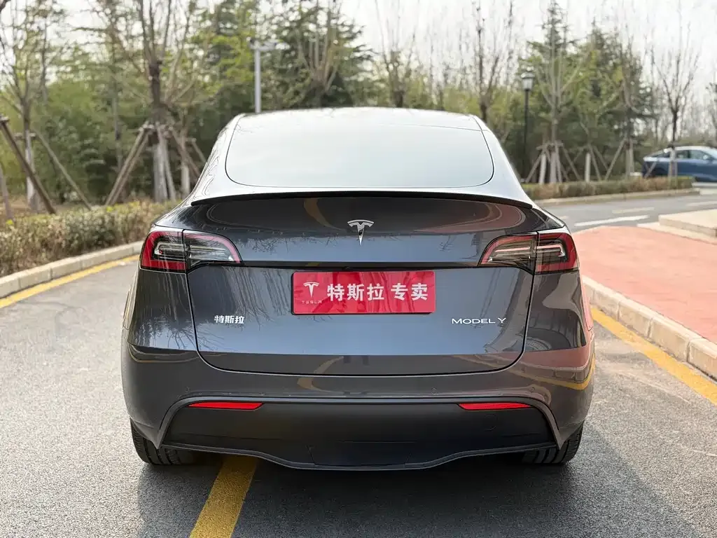 Tesla Model Y — фото 6