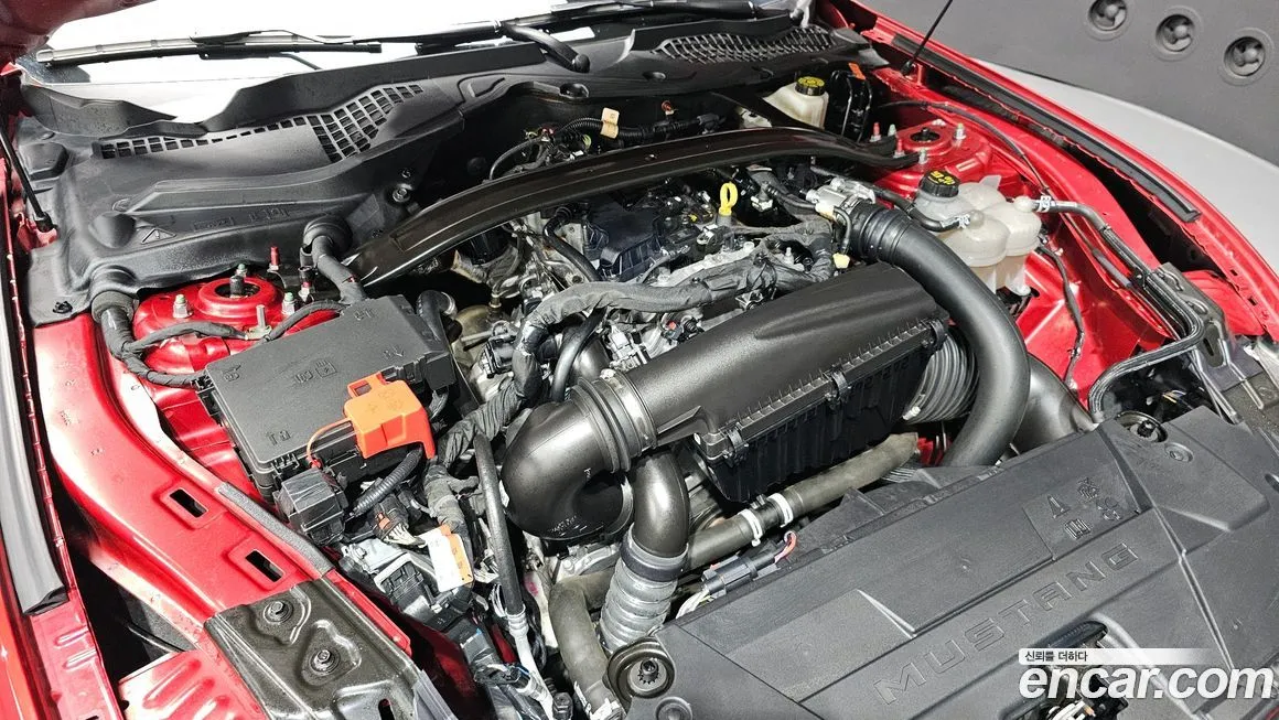 Ford Mustang 2024 из KR, фото 9