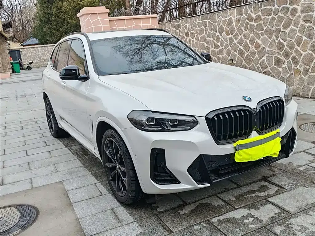 BMW X3 2023 из CN, фото 10