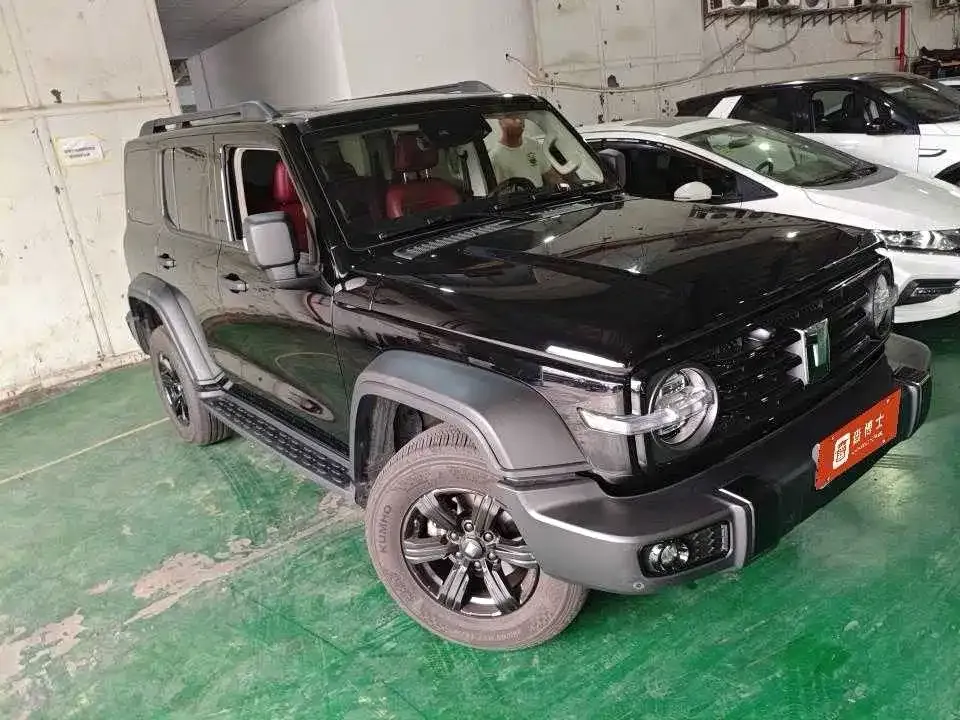 Tank 300 2024 из CN, фото 6