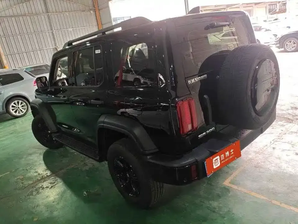 Tank 300 2024 из CN, фото 5