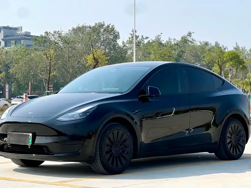 Tesla Model Y — фото 1