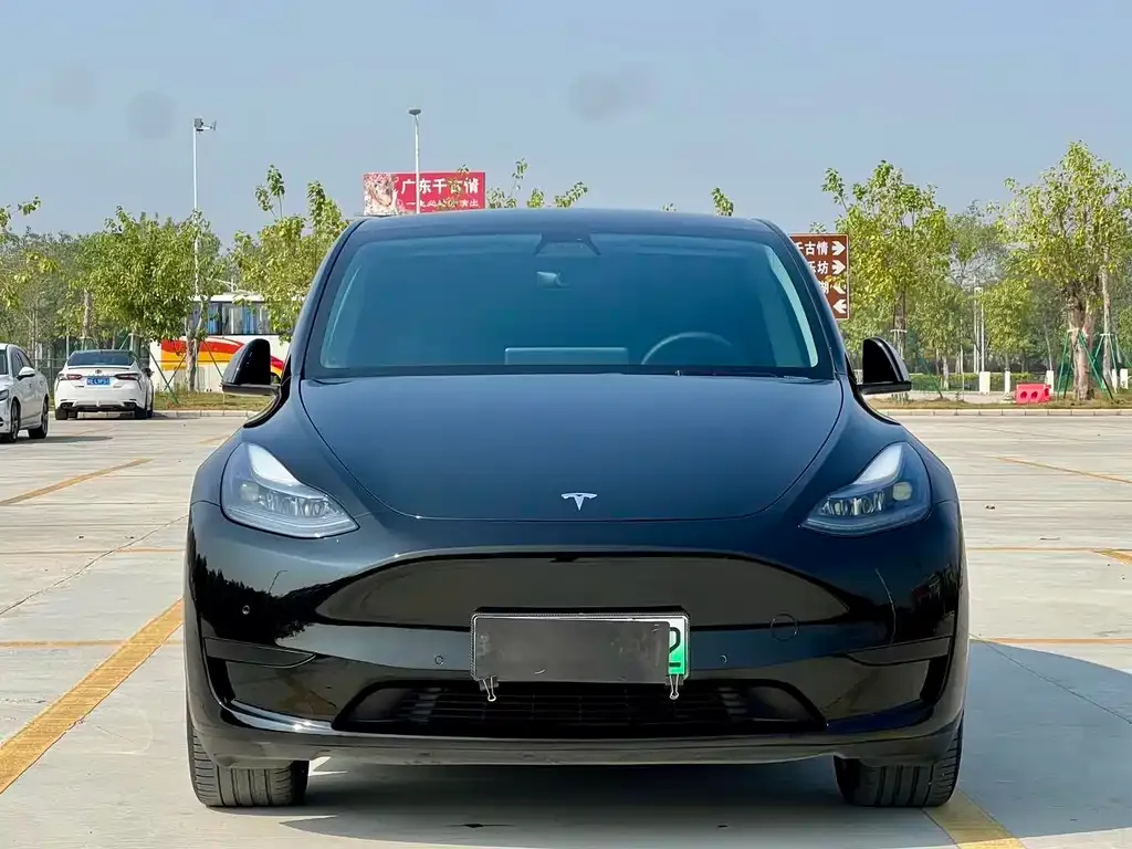 Tesla Model Y — фото 6
