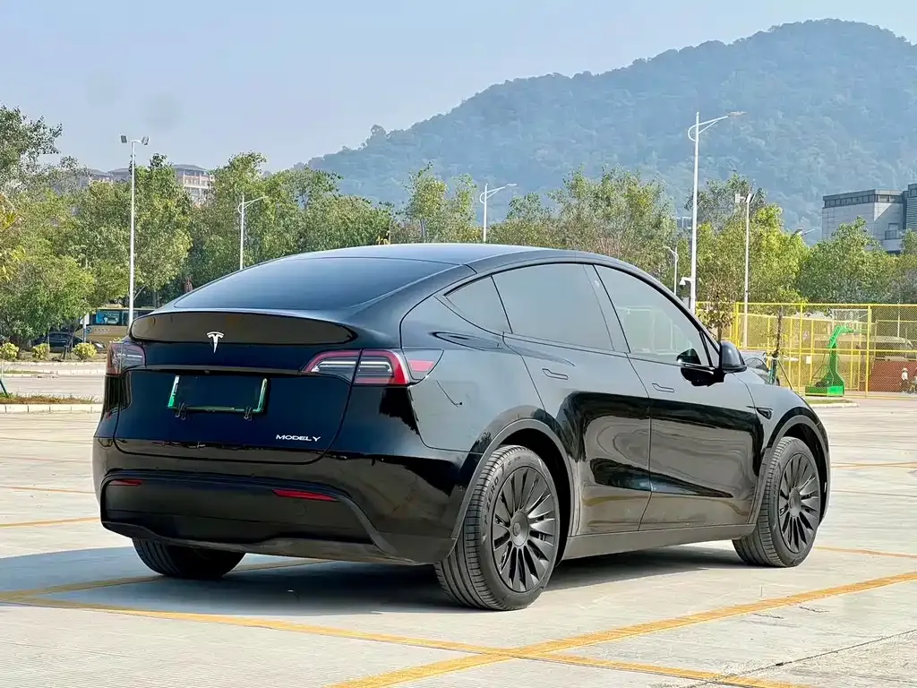 Tesla Model Y — фото 7