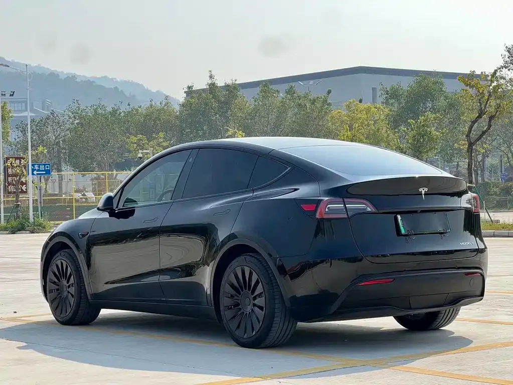 Tesla Model Y — фото 2