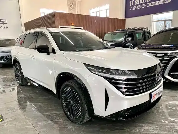 Nissan Teramont 2024 из CN, фото 8