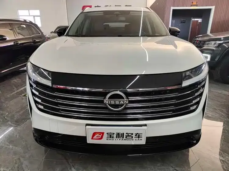 Nissan Teramont 2024 из CN, фото 2