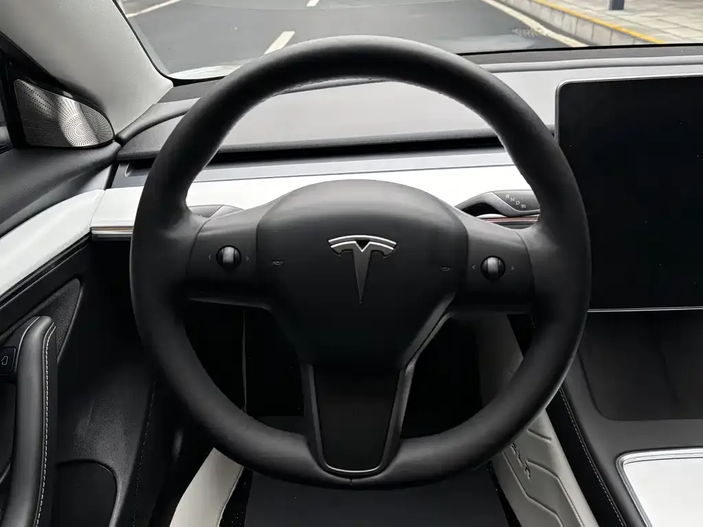 Tesla Model 3 2023 из CN, фото 4