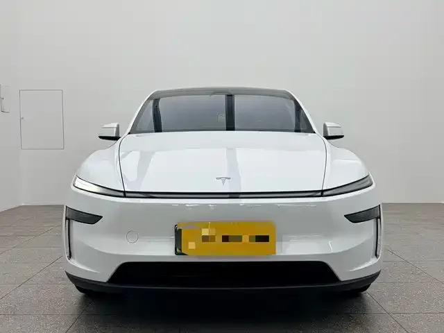 Tesla Model 3 2026 из CN, фото 3