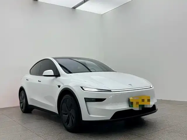 Tesla Model 3 2026 из CN, фото 2