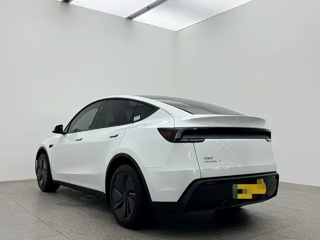 Tesla Model 3 2026 из CN, фото 7