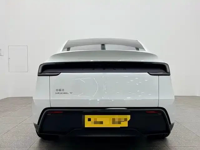 Tesla Model 3 2026 из CN, фото 8