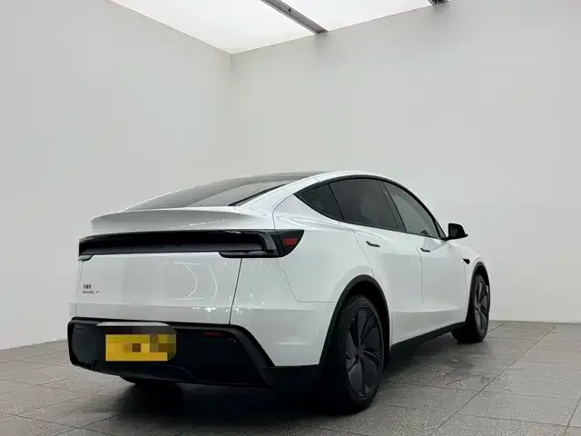 Tesla Model 3 2026 из CN, фото 6