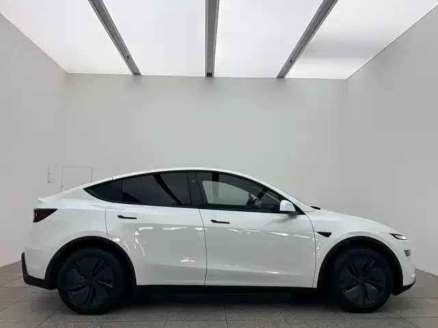 Tesla Model 3 2026 из CN, фото 9