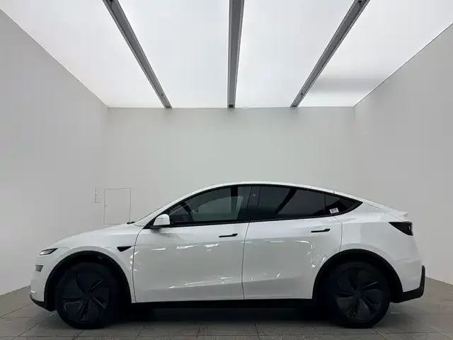 Tesla Model 3 2026 из CN, фото 5