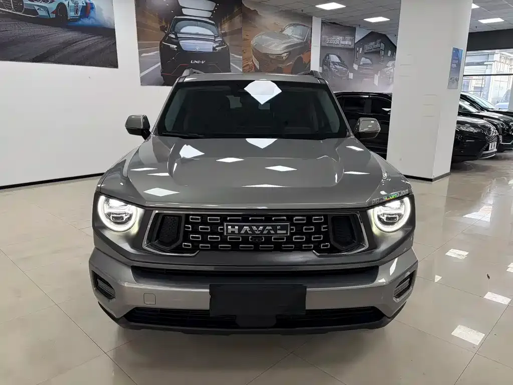 Haval Big Dog 2023 из CN, фото 7