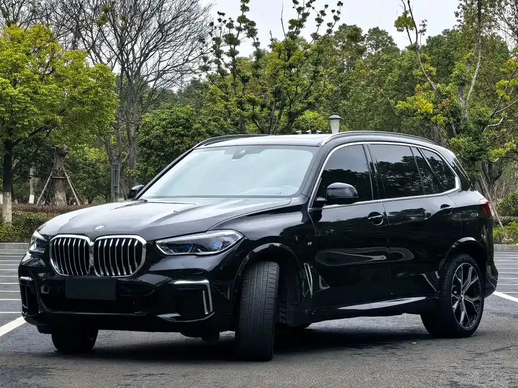 BMW X5 2023 из CN, фото 1