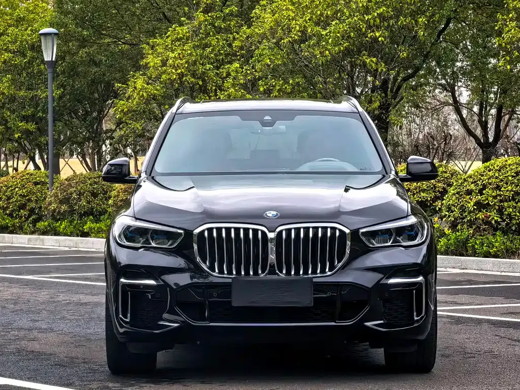 BMW X5 2023 из CN, фото 2