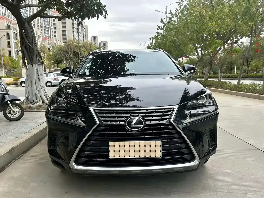 Lexus NX 2021 из CN, фото 5