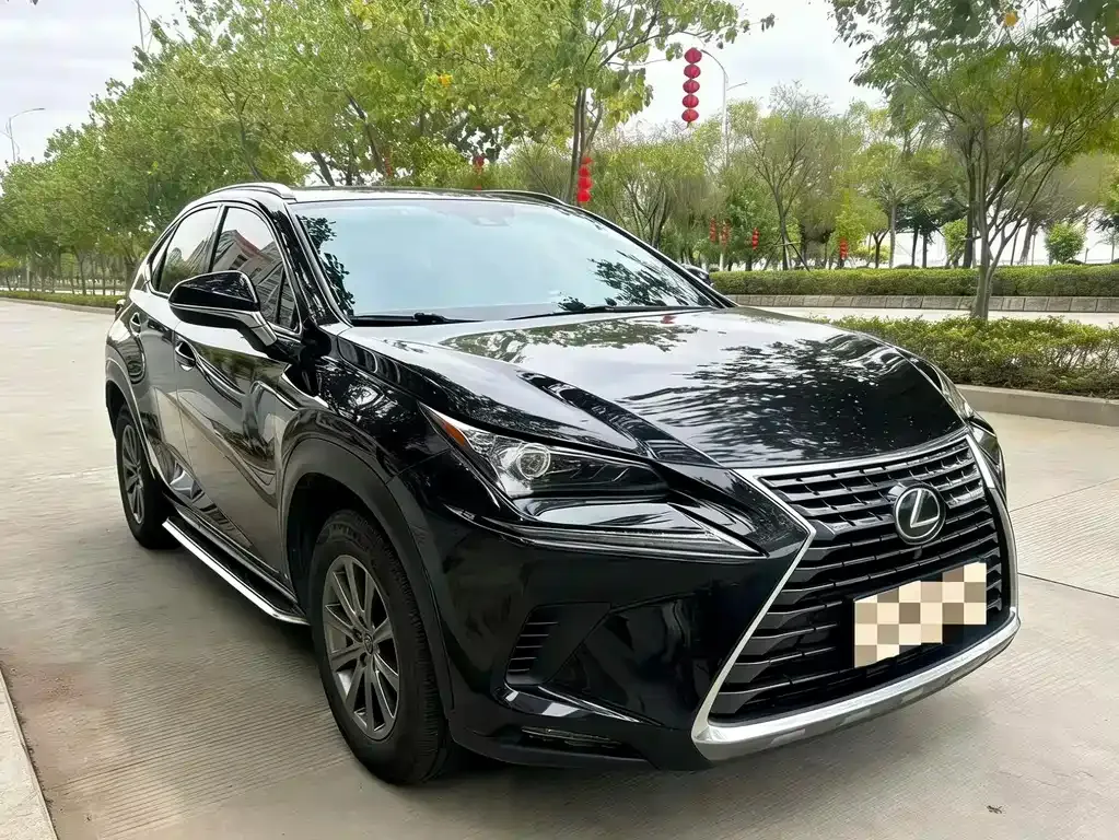 Lexus NX 2021 из CN, фото 4