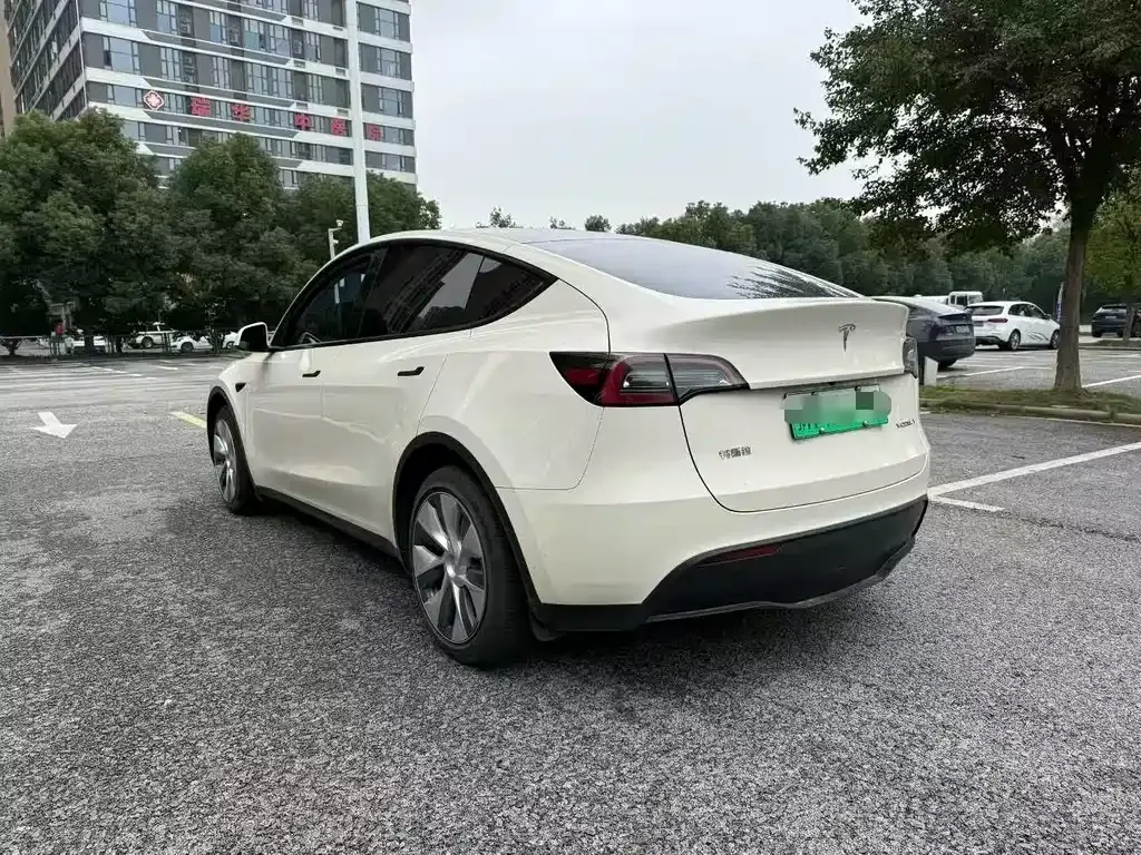 Tesla Model Y 2023 из CN, фото 5