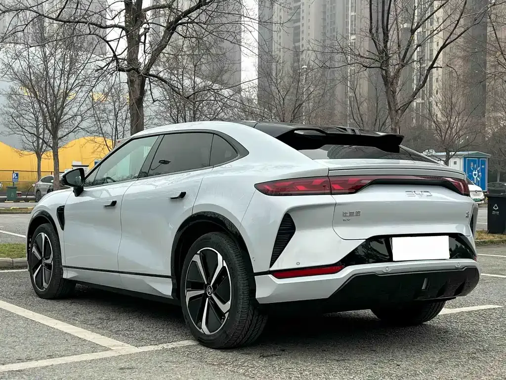 BYD L EV — фото 10