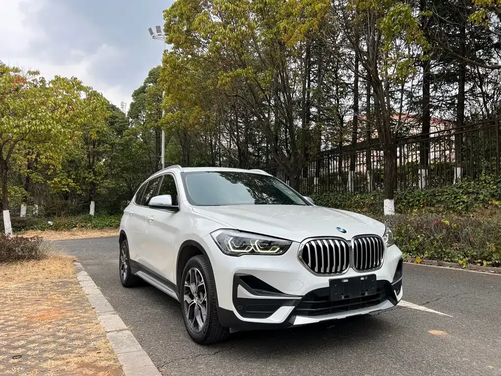 BMW X1 2021 из CN, фото 7
