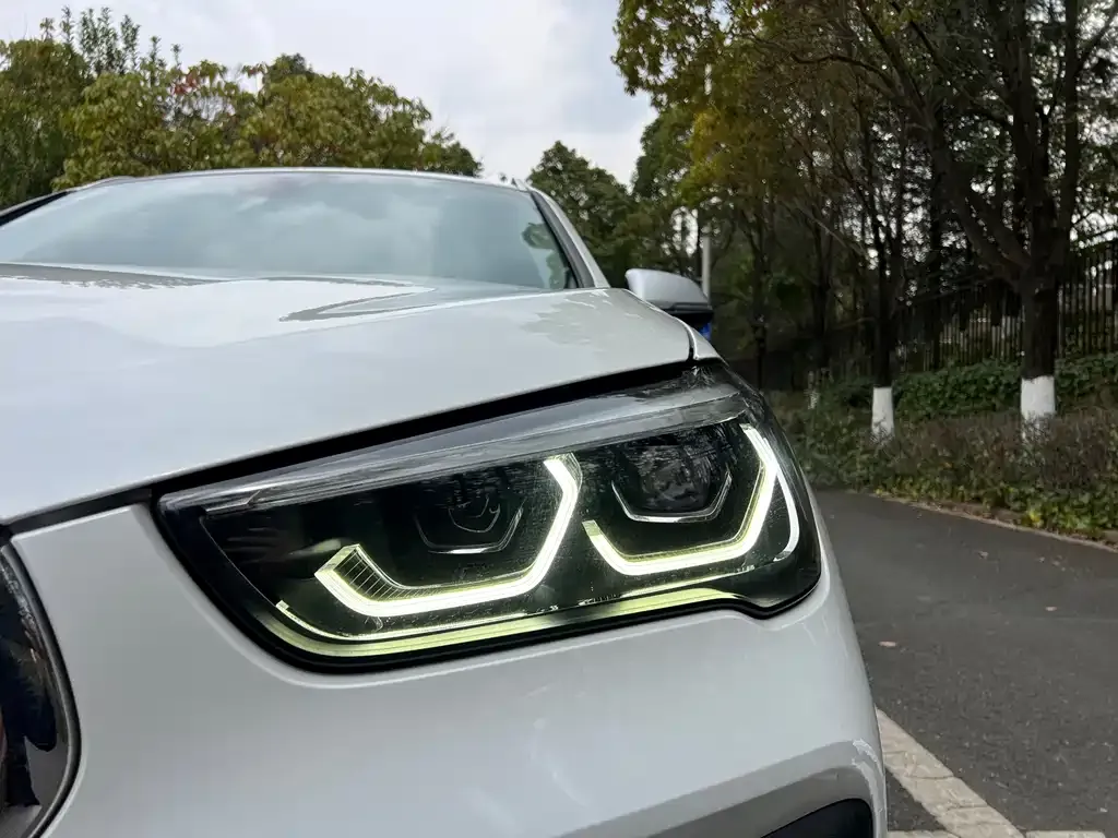 BMW X1 2021 из CN, фото 6