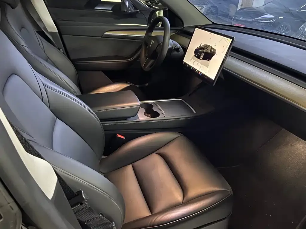 Tesla Model Y — фото 8