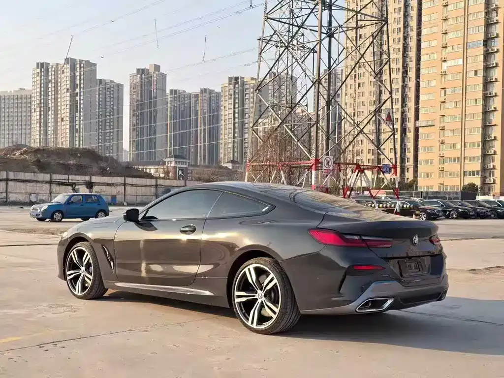 BMW 8 Series 2024 из CN, фото 9