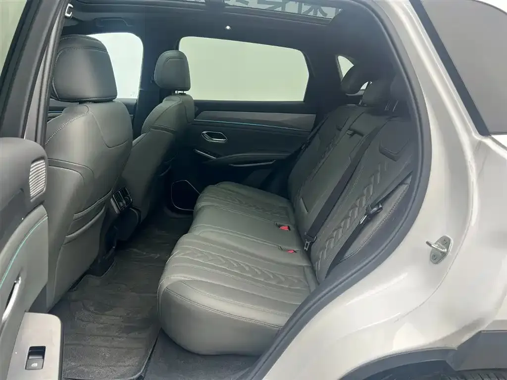 BYD L DM-i — фото 3
