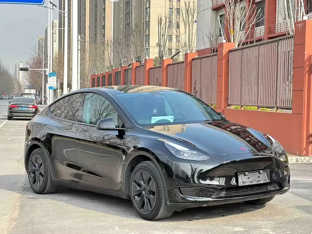 Tesla Model Y — фото 9