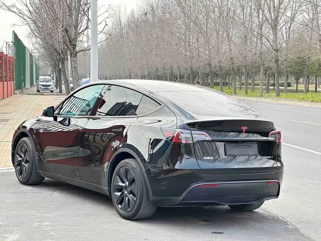 Tesla Model Y — фото 6