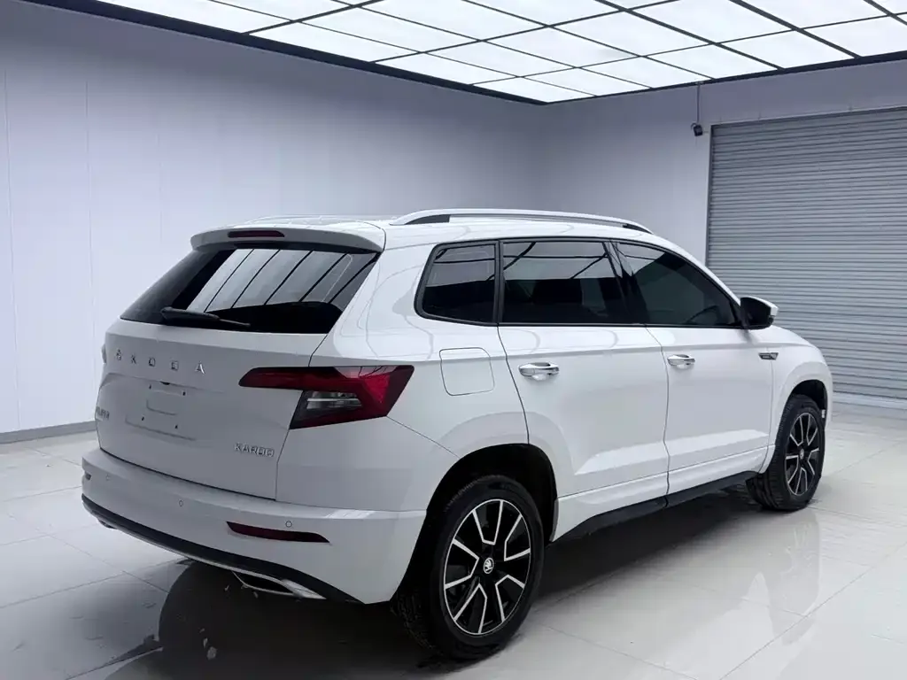 Skoda Karoq — фото 5