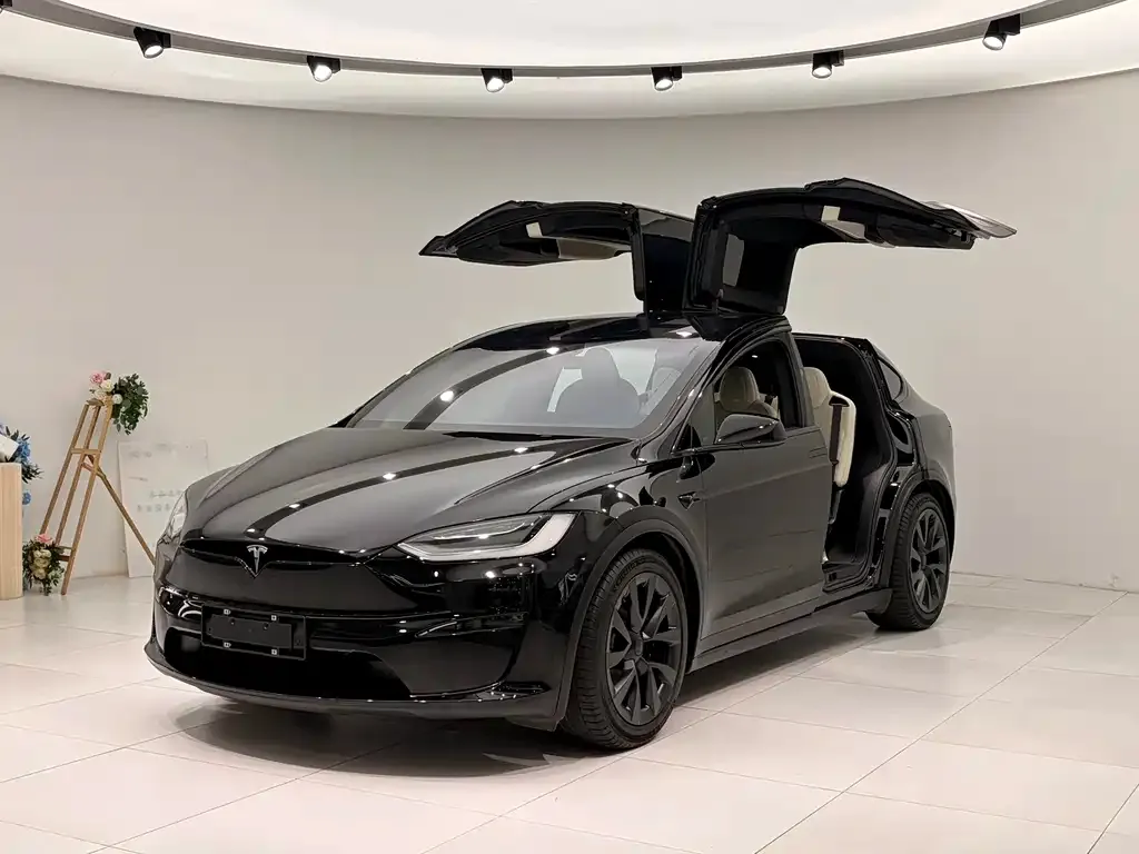 Tesla Model X 2023 из CN, фото 1