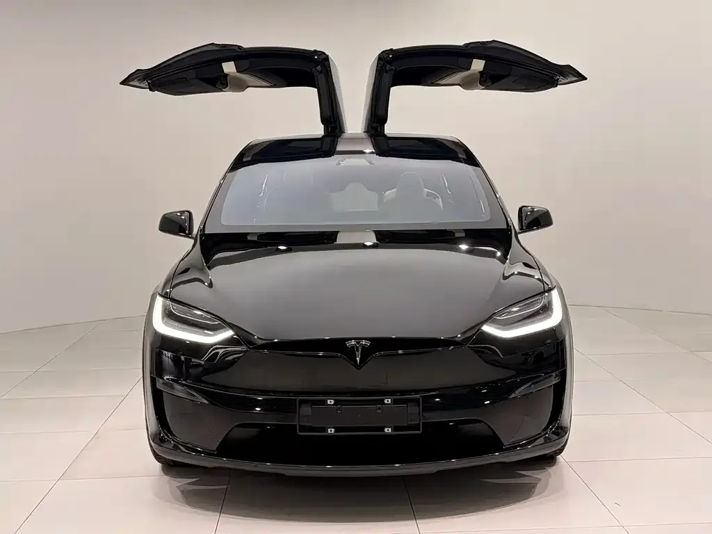 Tesla Model X 2023 из CN, фото 8