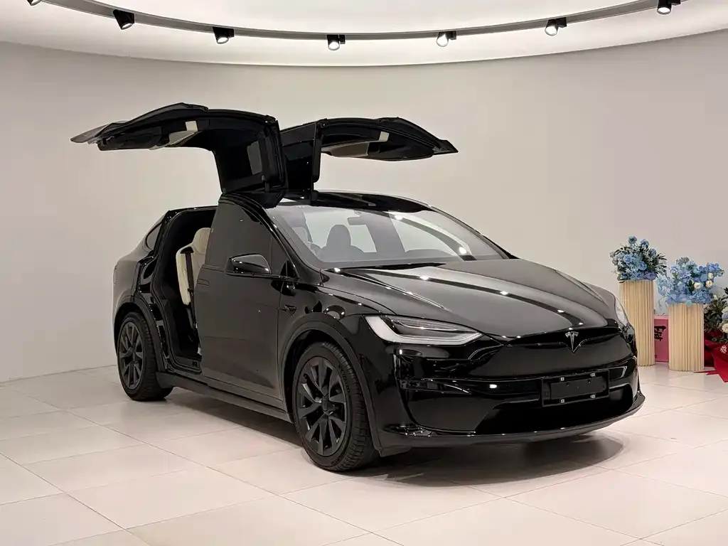 Tesla Model X 2023 из CN, фото 2